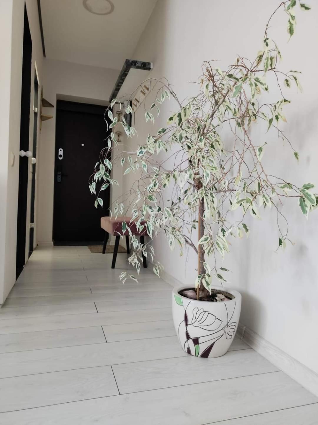 Apartamentai Miesto Centre Šiauliai 외부 사진